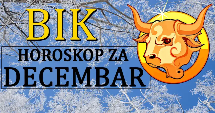 Bik tokom decembra:Moze se reci da cete imati najvise srece! Bik tokom decembra:Moze se reci da cete imati najvise srece!