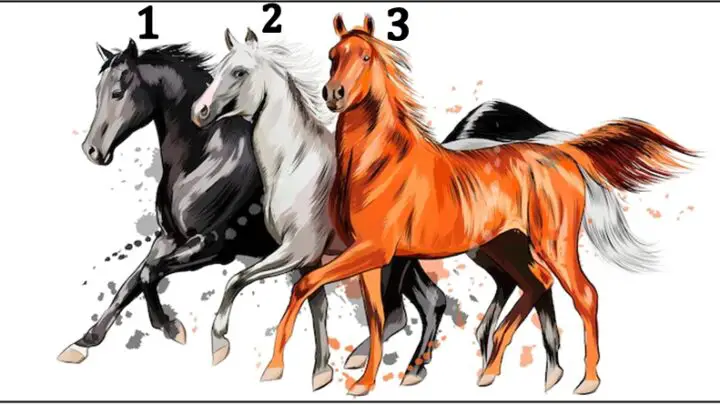 Izaberi jednog konja:Test licnosti koji nikoga nece ostaviti ravnodusnim!