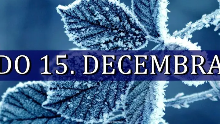 Do 15. decembra neki znaci zodijaka ce dozveti pravo cudo!