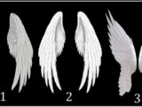 Anđeoska krila